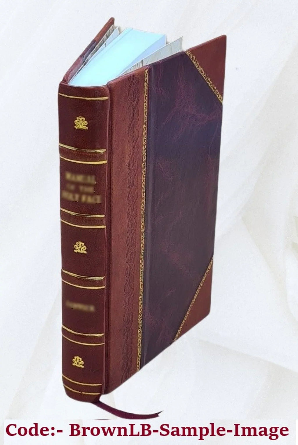 of and 1878 A North-western Midian Arabia the The Fortnight's Bound] Tour Gold-mines Midianite in Ruined [Leather Cities: