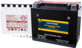 Bombardier Power [IRS] Battery Maintenance Free 2X4 H.O. 400 Compatible With 2003-2004 CTX20L-BS Fire Outlander