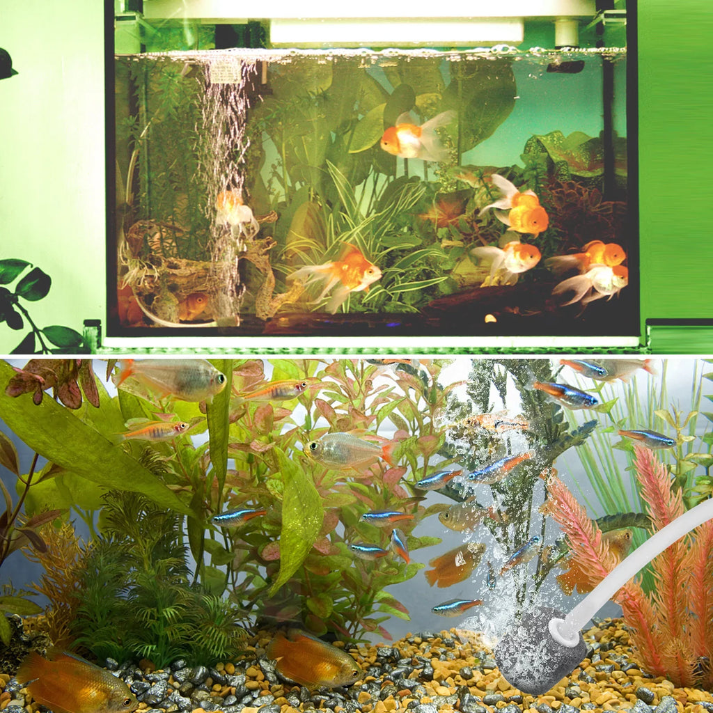 Rechargeable Pond Pump Circulation & Fishing Tranportation Air Fish Small Air Pump Bubble Aquarium Stone Solar Garden L Ponds Oxygenator Fish for 5.5V Aerator Pools with 1.5W