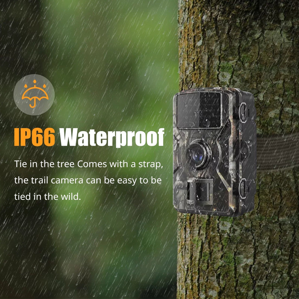 Time Camera,Ir With Irfora Ip66 2.4'' 0.6s Color And Camera With Ir TimeIp66 Camera VisionDisplayFarm WaterproofQisuo Tft Waterproof Waterproof 1080p 0.6s 2.4''