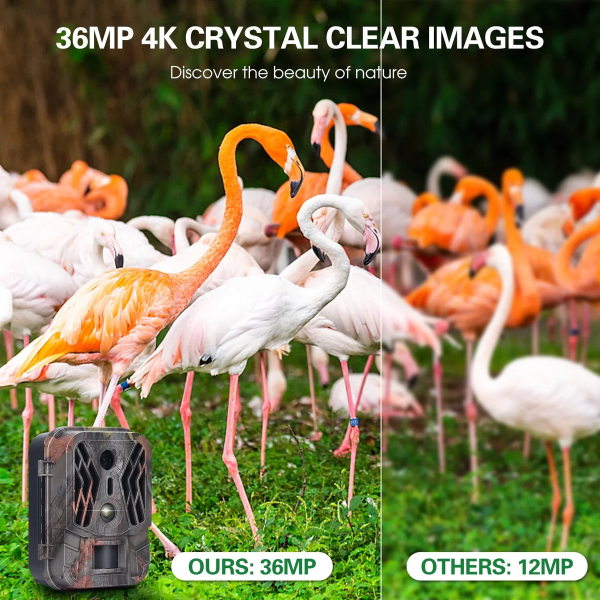 Camera ICHU Motion Camera Motion Security 36MP 1080P 1080P Cousopo 36MP Vision Camera Camera 4K Mode Lens Dual Motion No 36MP 2.4" Camera TFT Camera Lens Camcorder,Farm Camera Pristin Camera