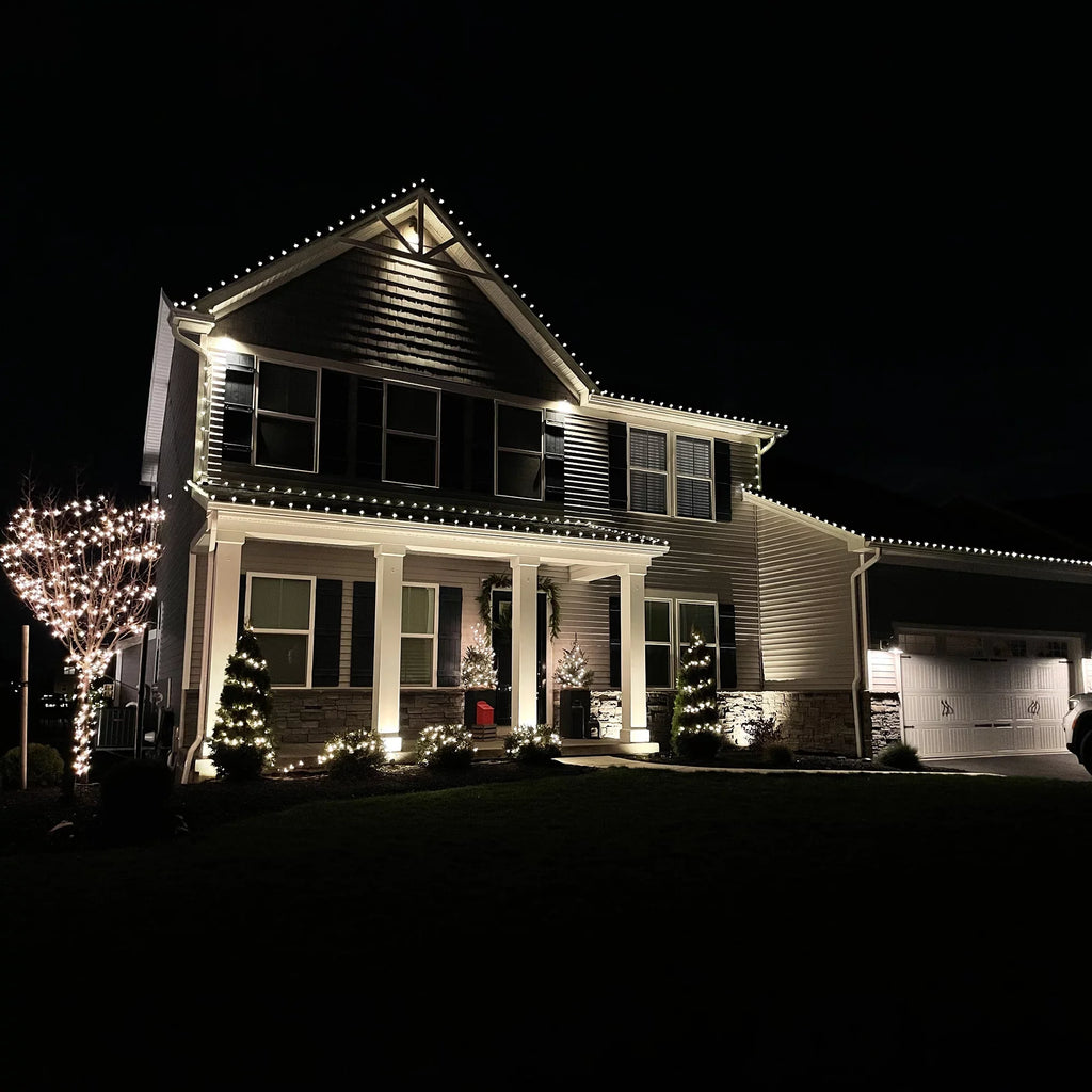Wire Faceted Lights, Christmas Warm 100ct 66ft White LED Green C9 Northlight