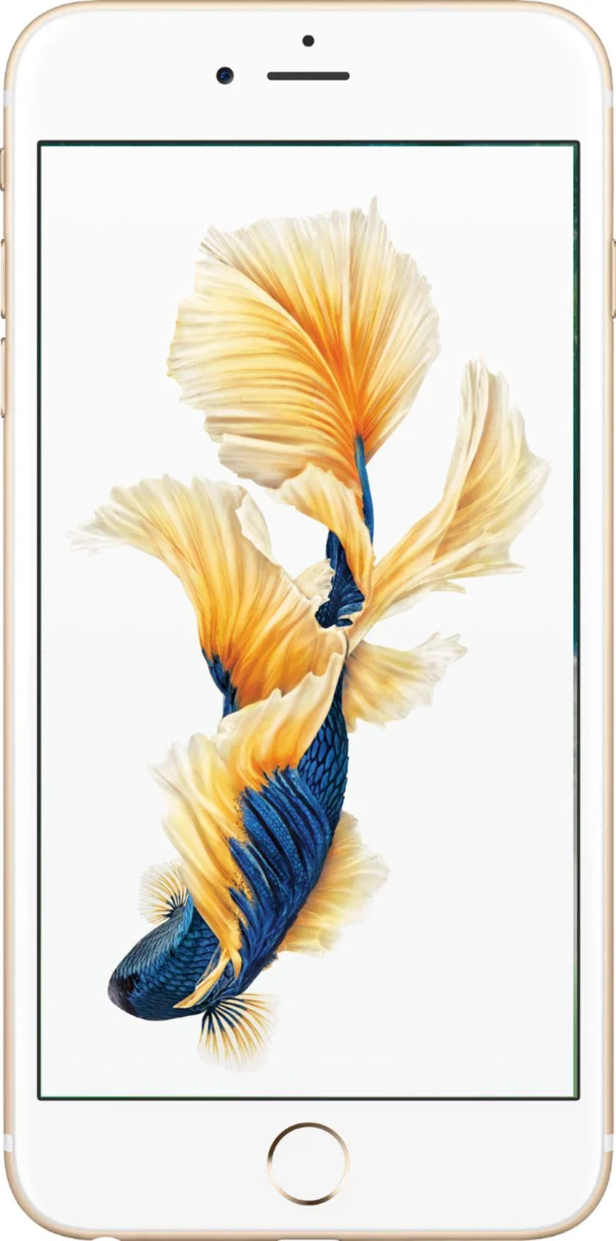 '+ Good) (Refurbished: iPhone Speed Pre-Owned Sim 6S Gold Talk Unlocked Card 64GB