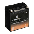 for CCA) Battery Ski Battery 1995 Js750 Sx 12 Ah, (16L-BS 230 Volt,14 Zx Jet YTX16L-BS Kawasaki Chrome