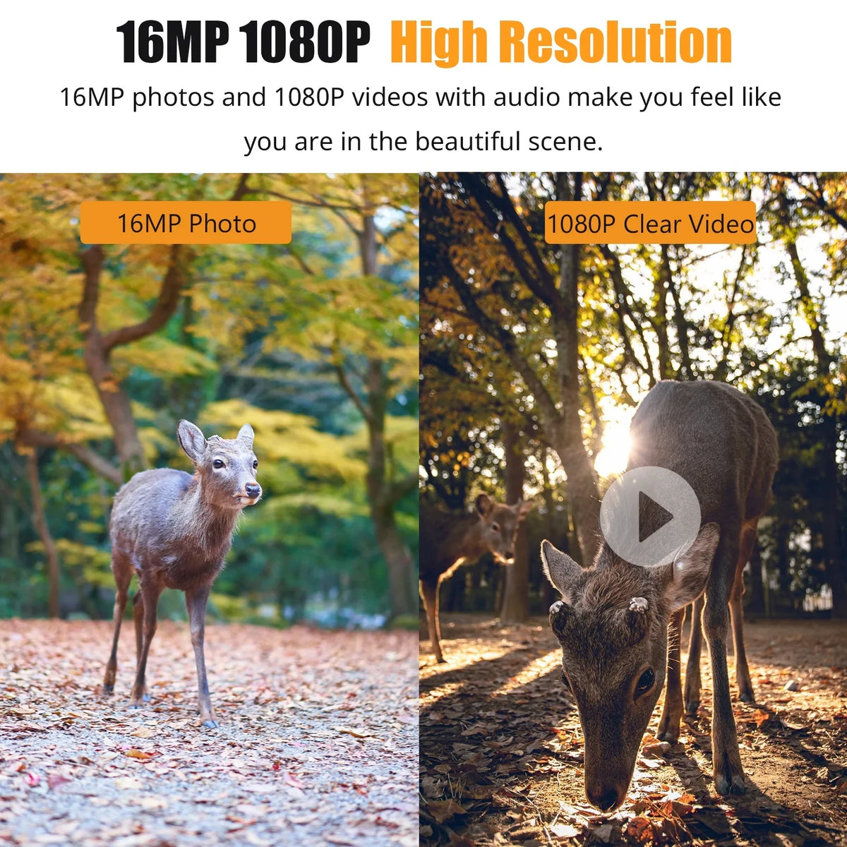 Time Camera,Ir With Irfora Ip66 2.4'' 0.6s Color And Camera With Ir TimeIp66 Camera VisionDisplayFarm WaterproofQisuo Tft Waterproof Waterproof 1080p 0.6s 2.4''
