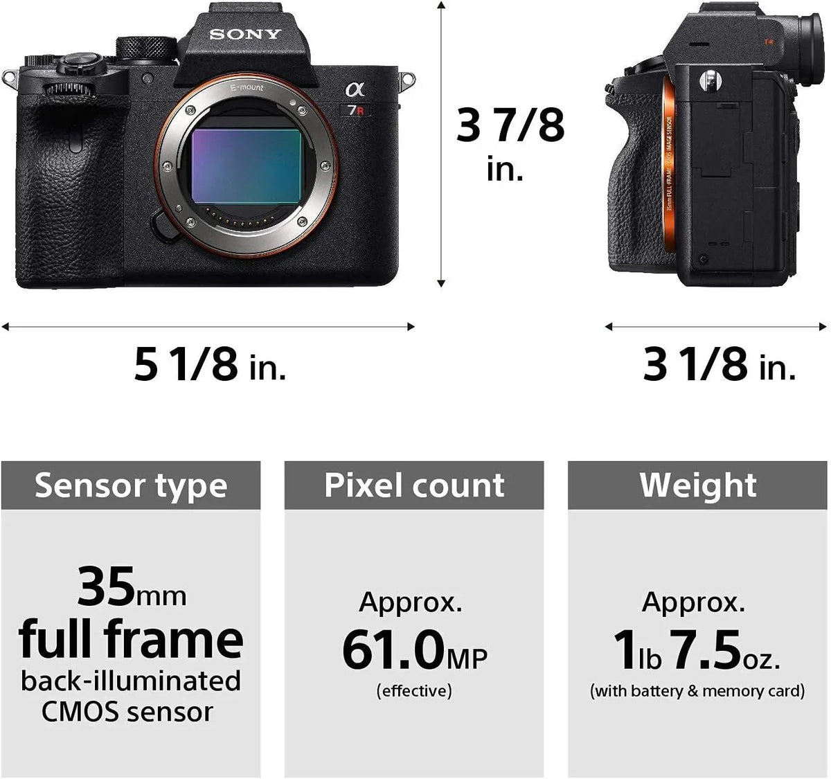 Mirrorless 64GB Alpha + a7R IV | Gadget Card, More IV Memory with Flexible Bag Tripod, Camera Digital a7R Bundle