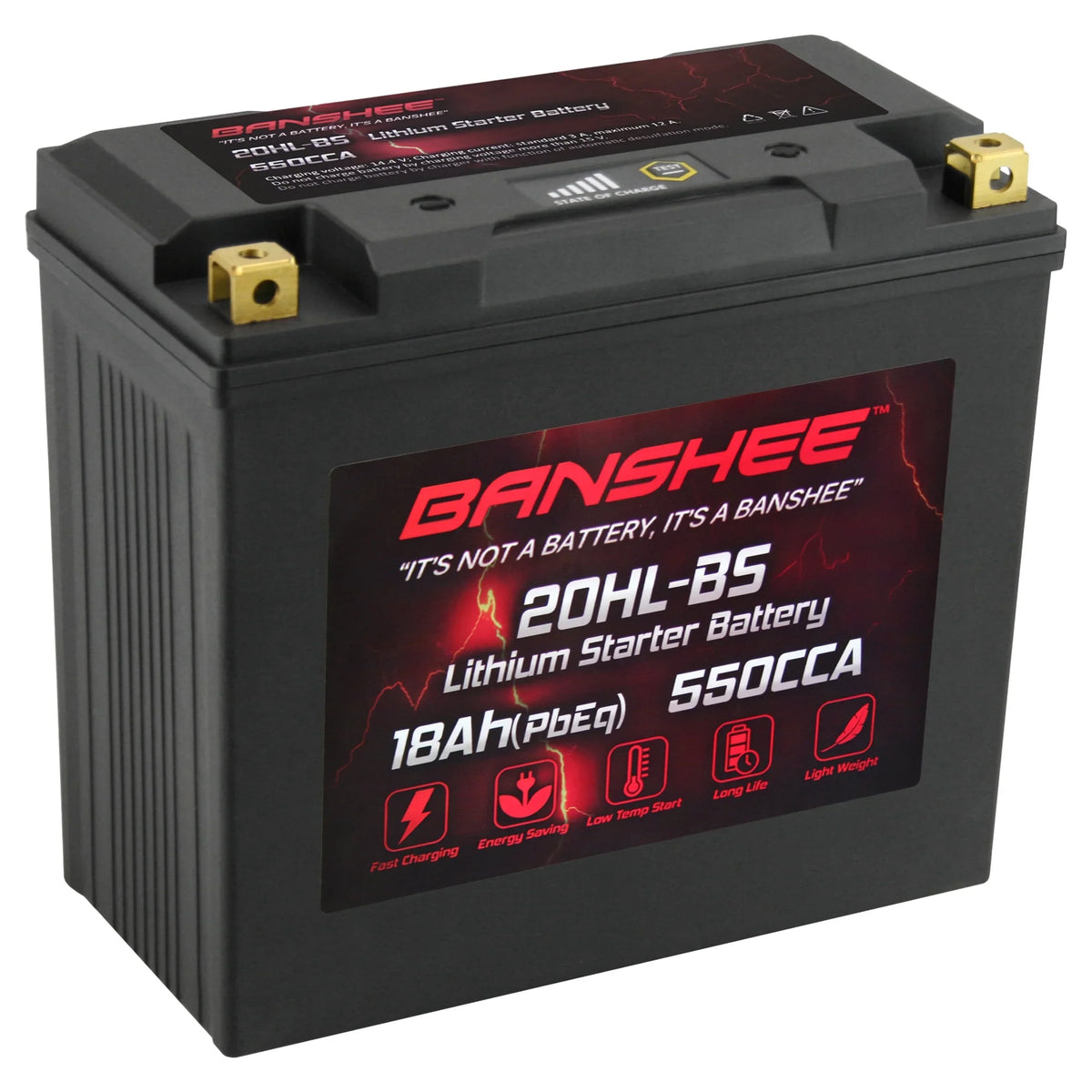 2004 WaveVenture Yamaha Banshee Motorsports Battery to Compatible YTX20L-BS LiFePO4 XL700A 2002 with XL700