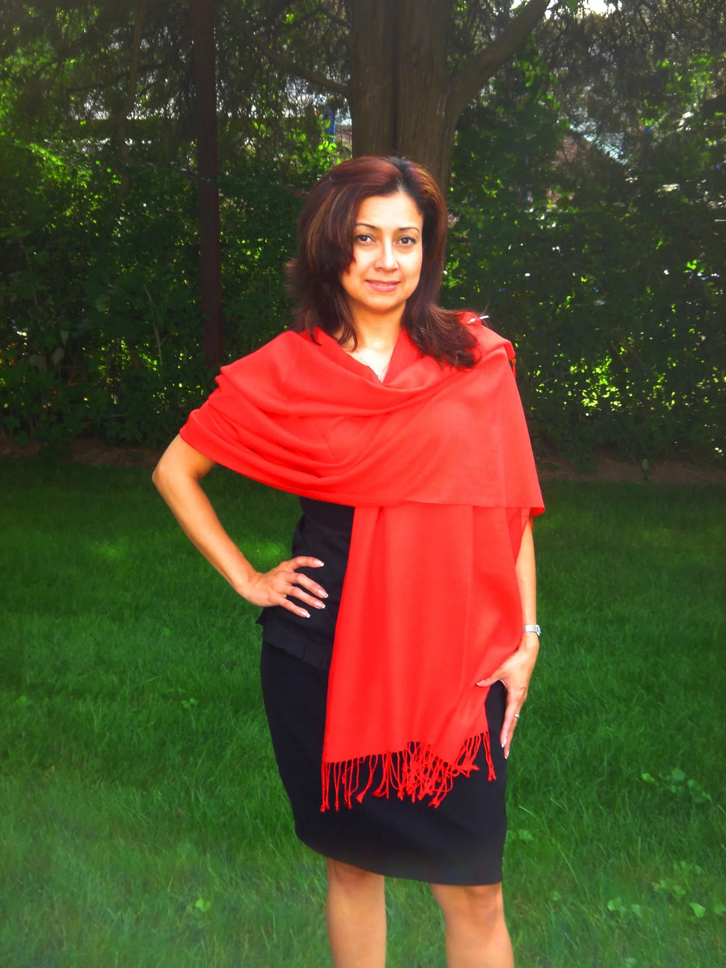 Scarf/Scarves/Shawl/Shawls/Stole/Wrap/Pashmina Red) (Lipstick Scarf/Wool/Silk Shawl/Cashmere/Cashmere Scarf/Pashmina