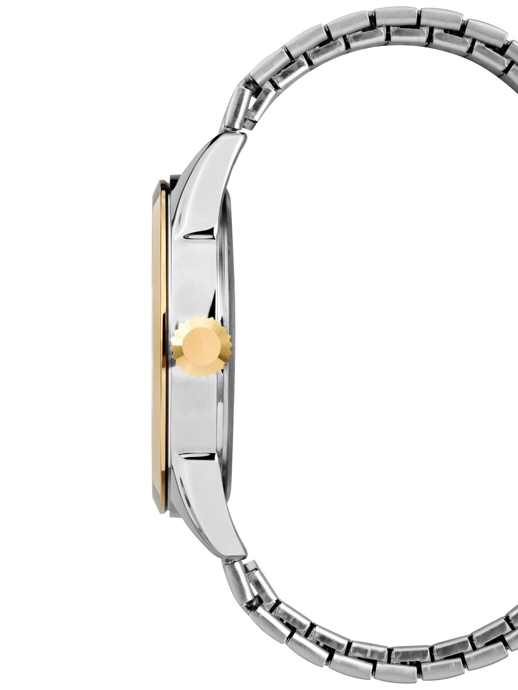 Men's Briarwood Stainless Steel Two-Tone Band Expansion Watch,
