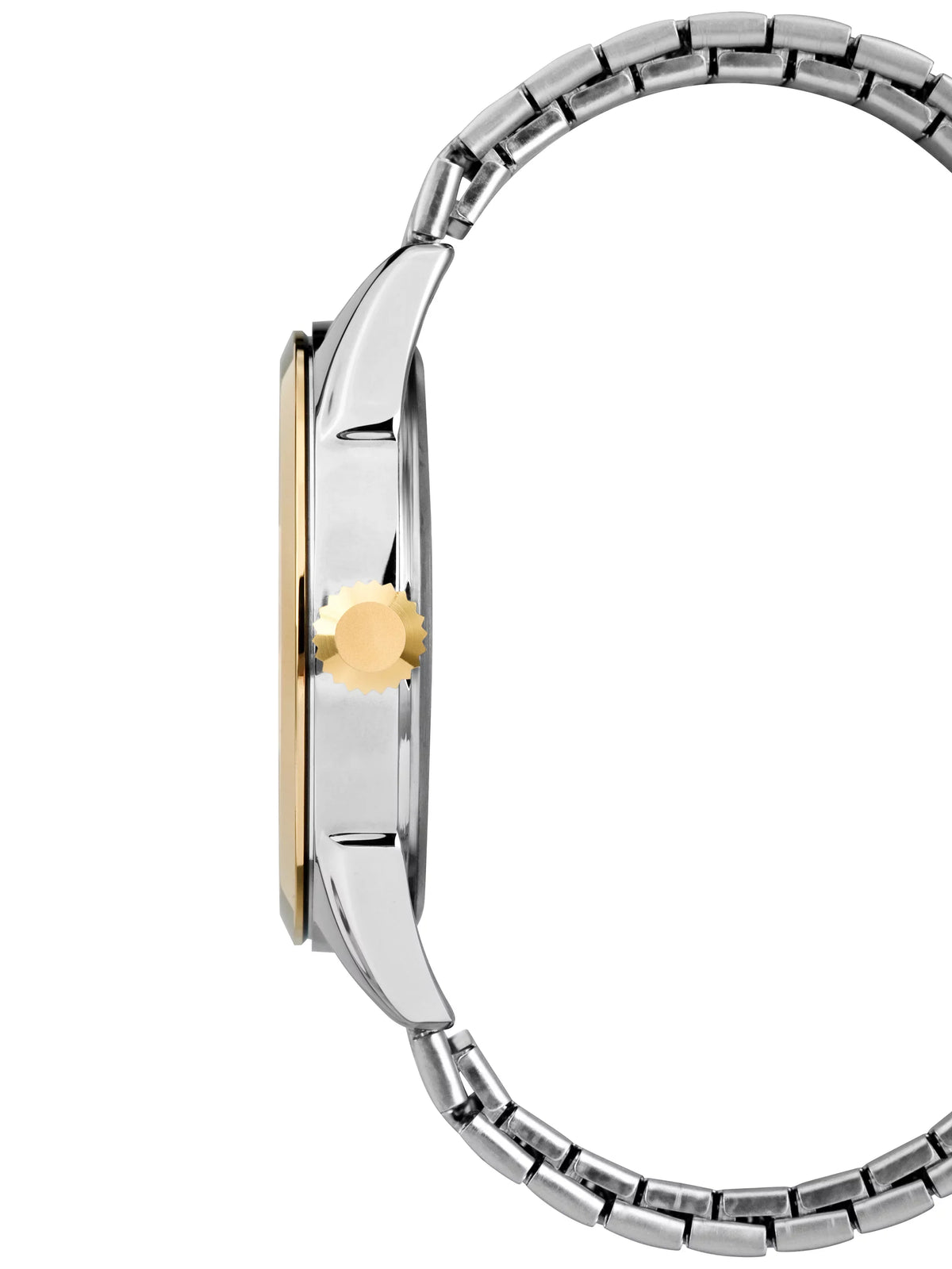 Men's Briarwood Stainless Steel Two-Tone Band Expansion Watch,